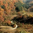 수산리-5 이미지