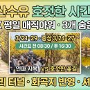 봉양4통마을회관 | 2026 의성 산수유 축제: 남들 모르는 한적한 시간대 &amp; 숨은 명당 TOP 3