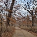 대가야소고기국밥 이미지