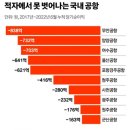 [전라도 무안참사] 죽은 김대중이가 만든 전라도 무안공항 근황 이미지