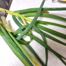 벼리농장 이미지