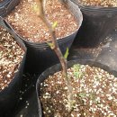 잘커농장 이미지