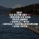 [일상] 도쿄 태교여행 3일차 💘 : 엔데이트립 도쿄 하코네 가마쿠라 일일투어 / 오와쿠다니 / 후지산...