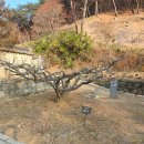 안동 도산서원 이미지