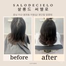 [아산 용화동 미용실]살롱드씨엘로 후기
