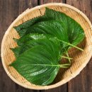 로하스요양원 이미지