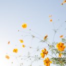 (유)하이얀 이미지