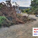 황산농협주유소 이미지