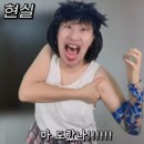 성덕로 | 걸어서 강원도 속으로 . . . 2박 3일동안 47000보 달성한 강릉-묵호 여행 후기