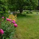 수미민박 이미지