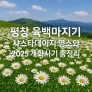 대관령관광안내소 | 6월 국내여행 추천 평창 육백마지기 샤스타데이지 명소와 개화시기, 주차 정보, 주변 관광지