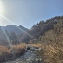 개암벌 용소 관광농원 캠핑장 | 홍천 개암벌 용소관광농원 캠핑장 - 2025. 11. 28.