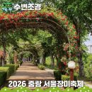 동일로163길 (23) | 2026 5월 가볼만한곳 서울 중랑 장미축제 가수 공연 주차장 가는길 일정 리뷰