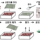 손이 만이 안가는 단호박 고소득 작물 소개 이미지