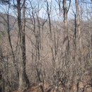 서구-01-42 이미지