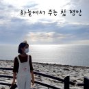 평안이네 이미지