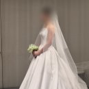 완승헤어라인 | 시작바이이명순 웨딩드레스 본식 가봉💗 F감성 눈물 vs T감성 팩폭, 최종 선택은?