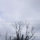 형도수산물 이미지