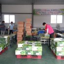 안동유통 이미지