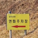 산양일주도로가로수 이미지