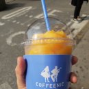 춘천시니어클럽(맛드림도시락) 이미지