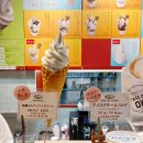 코지팜 | 삿포로 신치토세공항 아이스크림 비교 키노토야 마치무라팜 화이트코지