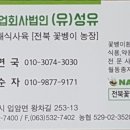 행복한 굼벵이 마을 이미지