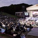 페스티벌 이미지