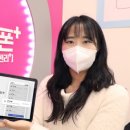 모요 이미지