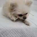 옥공인중개사사무소 이미지