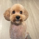 멍이랑옹이랑 이미지