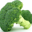 용인대 자양복싱 이미지