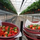 단산농장 이미지