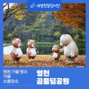 영천 가을 명소 곰들덤공원 가을 소풍장소
