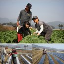 우범농장 이미지