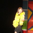 예인체육관 Daum카페