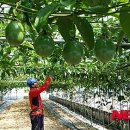 김병기농가 이미지