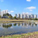 오케이타워203호 네이버블로그