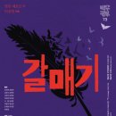 명품 갈매기 이미지