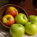 한국폴리텍 I 대학 서울강서캠퍼스 이미지