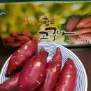 못골농장 이미지