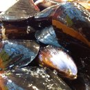 빈대떡신사 이미지