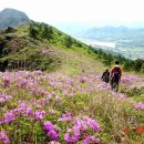 5월2일 산행안내(보성 일림산) 이미지