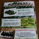 낙원모싯잎송편 이미지