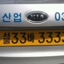 동물택시 이미지