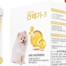 헬로 마이펫 이미지