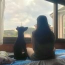 횡성리버뷰펜션 이미지