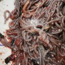 교감막국수 이미지