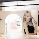 루나 이미지