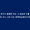 마리이야기 티스토리